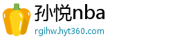 孙悦nba